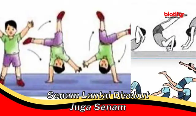 Serba-serbi Senam Lantai: Mengenal Lebih Dekat "Senam Keyword"