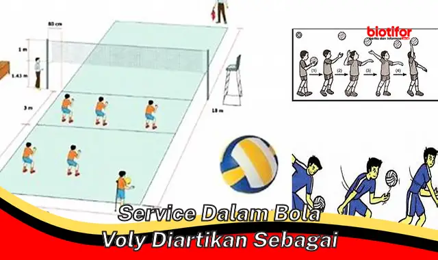 Apa Saja Arti Service dalam Bola Voli?