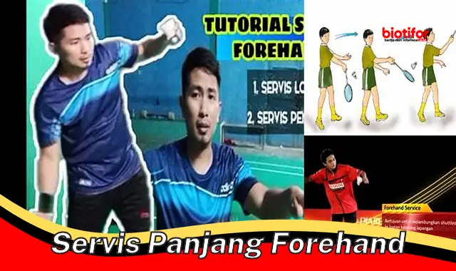 Panduan Penting Servis Panjang Forehand untuk Pemain Bulu Tangkis