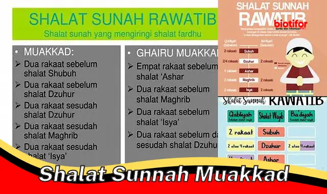 Rahasia Shalat Sunnah Muakkad: Tingkatkan Keimanan, Raih Pahala Berlipat