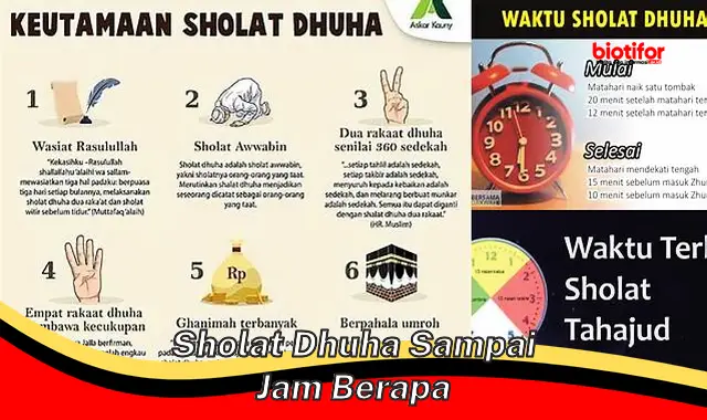 Waktu Tepat Sholat Dhuha untuk Keutamaan Maksimal - Biotifor