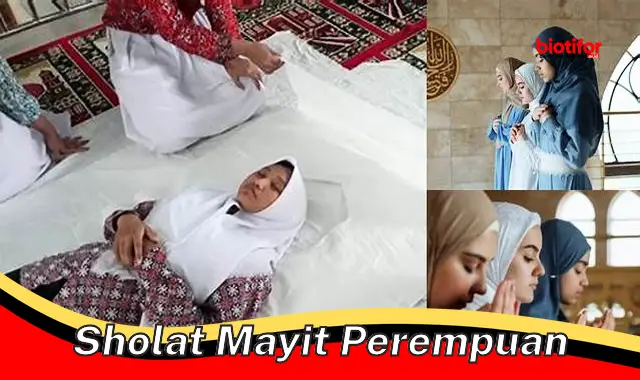 Panduan Lengkap Shalat Mayit Perempuan: Tata Cara, Bacaan, dan Keutamaan