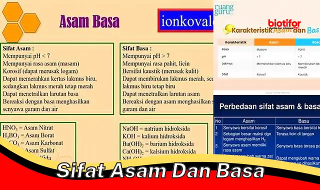 Seluk Beluk Sifat Asam dan Basa: Panduan Komprehensif