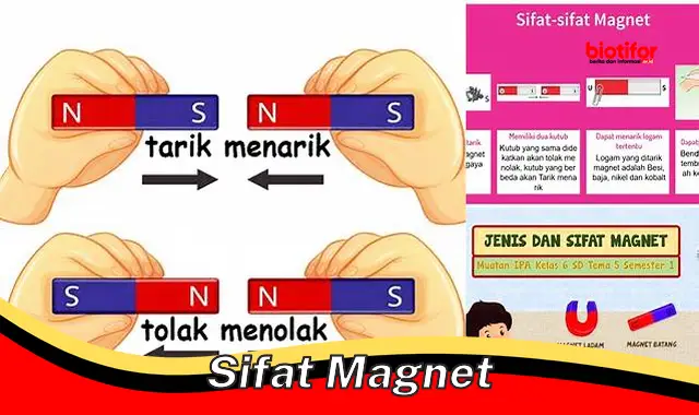 Panduan Lengkap: Sifat Magnet dari A sampai Z