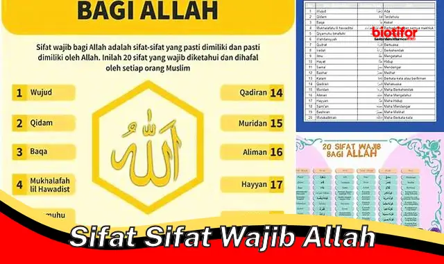 Mengenal Sifat Sifat Wajib Allah, Landasan Kesempurnaan Tuhan