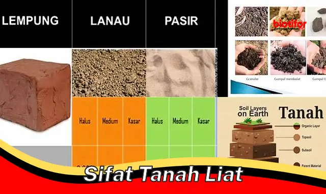 Keunikan Sifat Tanah Liat: Panduan Komprehensif