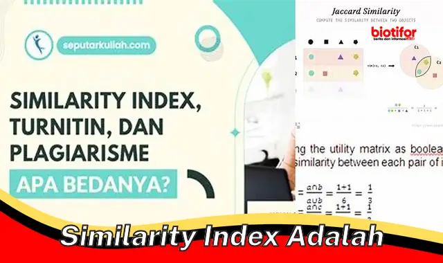 Cara Efektif Menggunakan Similarity Index untuk Analisis Dokumen - Biotifor