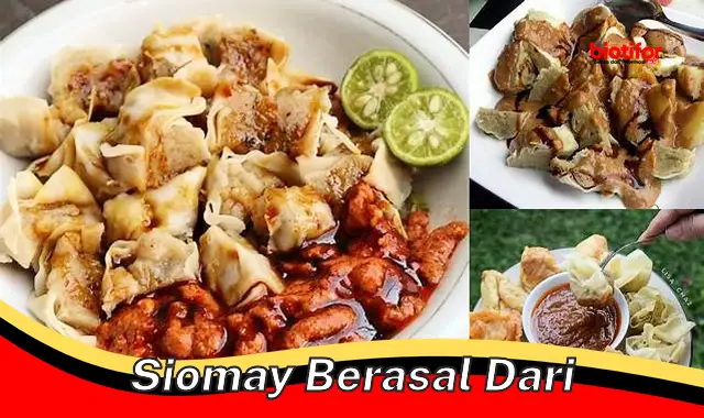 Asal-usul Siomay: Dari Tiongkok Hingga Menjadi Kuliner Khas Indonesia