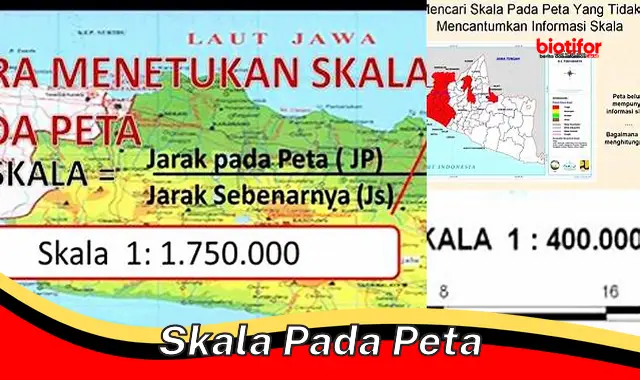 Skala pada Peta: Panduan Lengkap untuk Memahami Jarak dan Ukuran