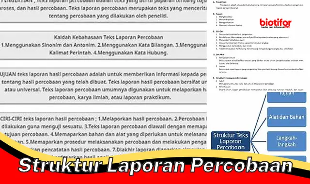 struktur laporan percobaan