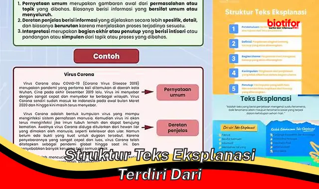 Panduan Lengkap: Struktur Teks Eksplanasi yang Mudah Dipahami