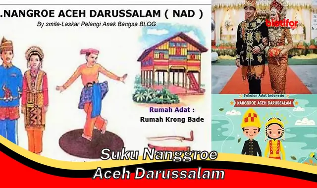 suku nanggroe aceh darussalam