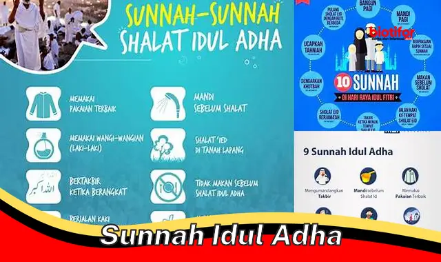 Amalan Sunnah Idul Adha: Panduan Lengkap untuk Muslim - Biotifor