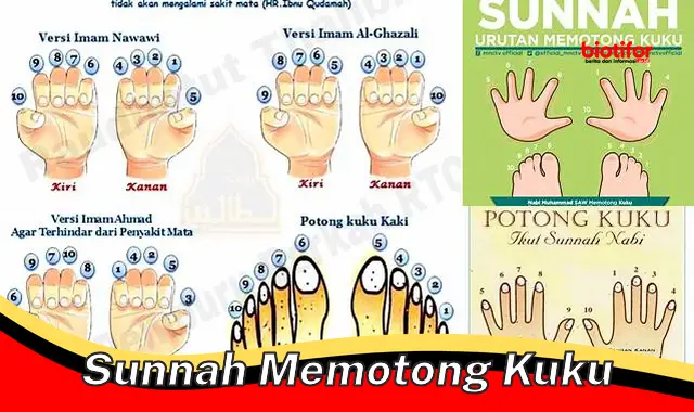 Rahasia Manfaat Sunnah Memotong Kuku untuk Kesehatan dan Keberuntungan