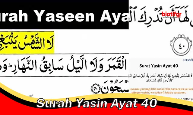 Asal-usul Penciptaan Manusia dalam Surah Yasin Ayat 40