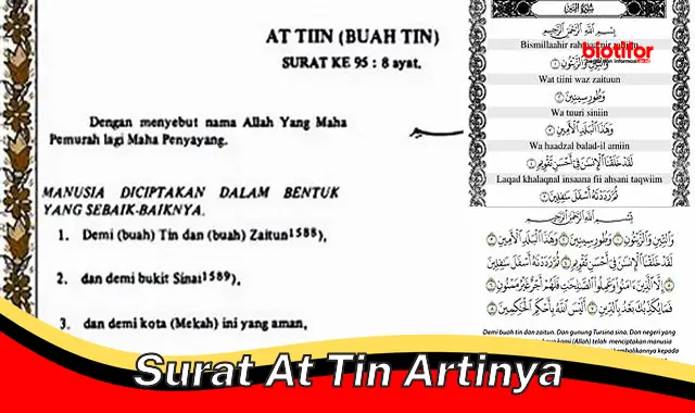 Makna Penting Surat At Tin: Kekuasaan Allah dan Kewajiban Beriman