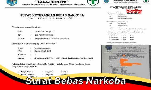 Raih Masa Depan Cerah dengan Surat Bebas Narkoba