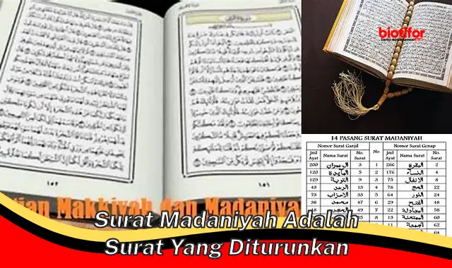 Panduan Lengkap Surat Madaniyah: Surat yang Turun di Madinah