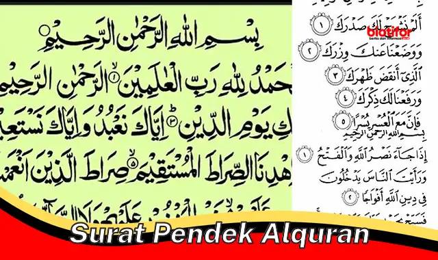 Surat Pendek Alquran: Panduan Praktis untuk Kehidupan Sehari-hari ...