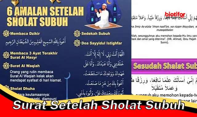 Panduan Lengkap Surat yang Dianjurkan Setelah Sholat Subuh: Manfaat dan Cara Membacanya