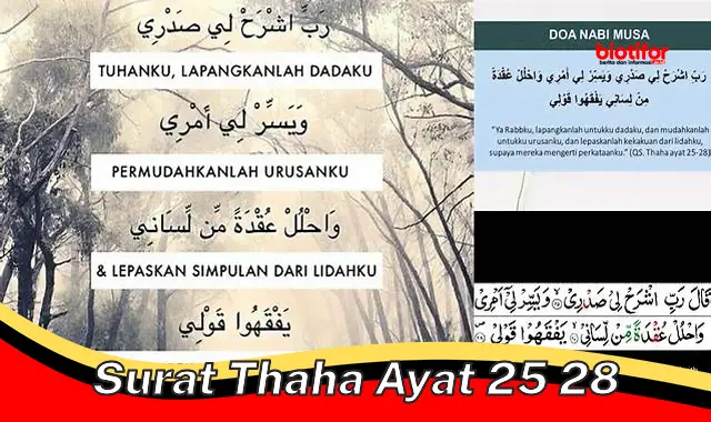 Pelajaran Penting dari Surat Thaha Ayat 25-28 untuk Kehidupan Kita