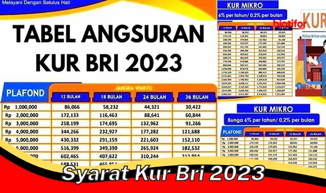 Syarat Terbaru Ajukan KUR BRI 2023, Simak dengan Baik!