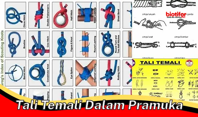 Tali Temali: Keterampilan Penting Pramuka untuk Alam Bebas