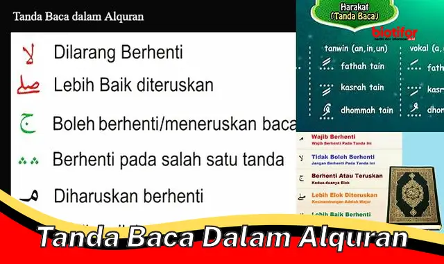 Pentingnya Tanda Baca dalam Alquran untuk Pemahaman yang Mendalam