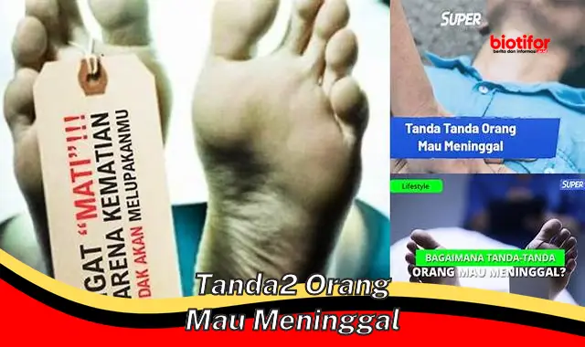 Tanda-Tanda Mendekati Ajal: Panduan Mendeteksi Gejala Sebelum Kematian