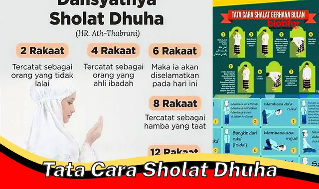 Rahasia Sholat Dhuha: Panduan Lengkap Tata Cara dan Keutamaannya - Biotifor