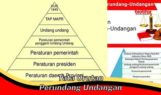 Panduan Lengkap Tata Urutan Perundang-undangan di Indonesia