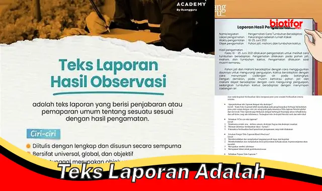 teks laporan adalah