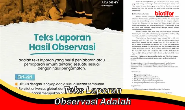 Teks Laporan Observasi: Panduan Lengkap dan Akurat untuk Pengamatan Objektif