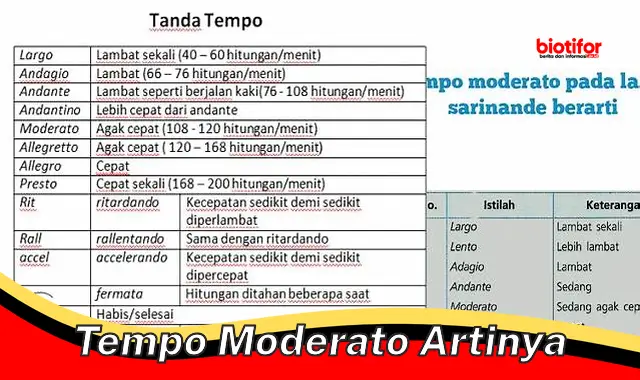 Memahami Arti dan Peran "Tempo Moderato" dalam Musik