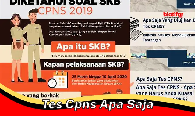 Panduan Lengkap Tes CPNS: Persiapan dan Strategi Sukses