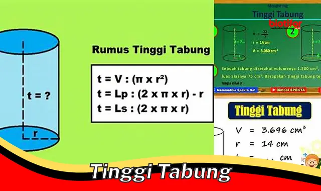 Tingginya Tabung: Panduan Lengkap untuk Berbagai Aplikasi