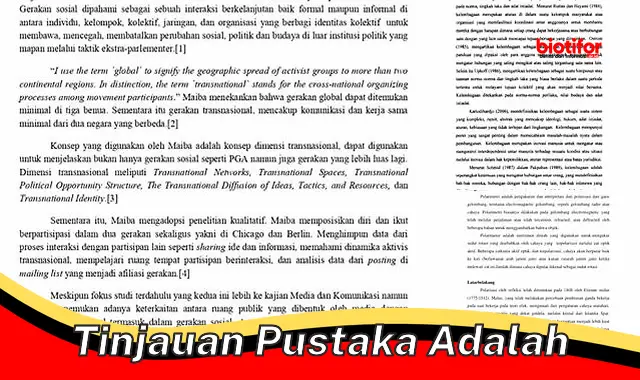 Panduan Lengkap Tinjauan Pustaka: Landasan Penelitian yang Kuat