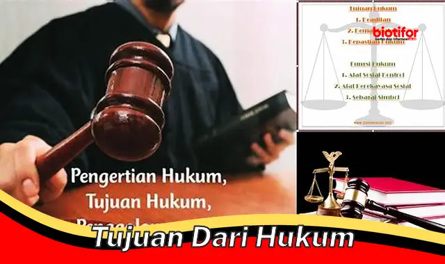 Tujuan Hukum: Pengaturan, Keadilan, dan Perlindungan Hak