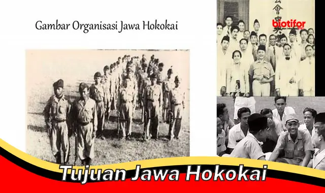 Tujuan Jawa Hokokai: Bangkitkan Semangat Jawa demi Kemenangan Jepang