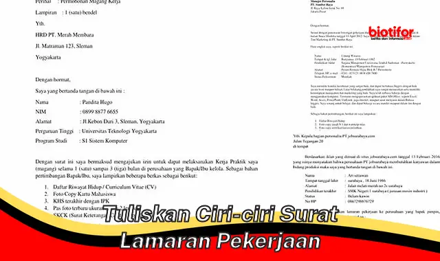 Panduan Lengkap Ciri-ciri Surat Lamaran Pekerjaan yang Tepat