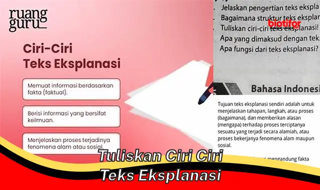 Panduan Lengkap Menulis Teks Eksplanasi: Ciri-Ciri dan Tips Efektif