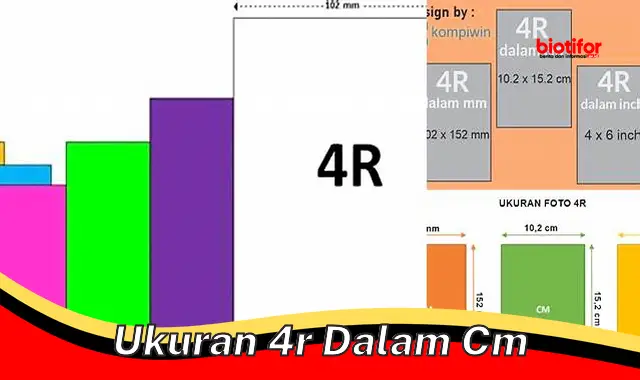 Ukuran 4R dalam cm: Panduan Lengkap untuk Mencetak Foto Berkualitas