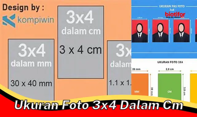 Ukuran Foto 3x4 dalam Cm: Panduan Lengkap untuk Foto Resmi