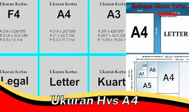 Ukuran Kertas A4: Panduan Lengkap untuk Dokumen Profesional