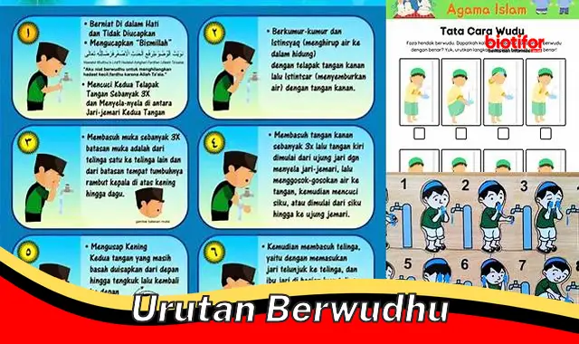 Panduan Lengkap Urutan Berwudhu yang Sah dan Benar