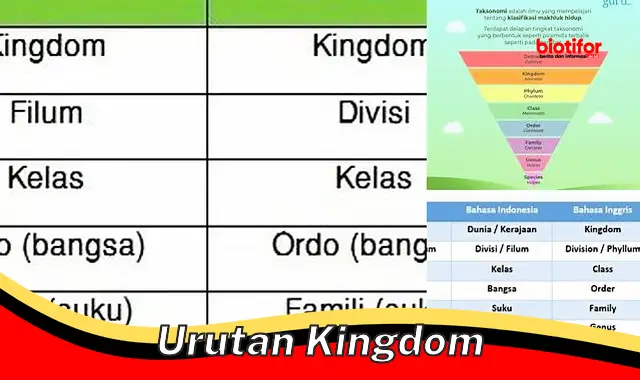 Pahami Urutan Kingdom: Kunci Klasifikasi Organisme Hidup