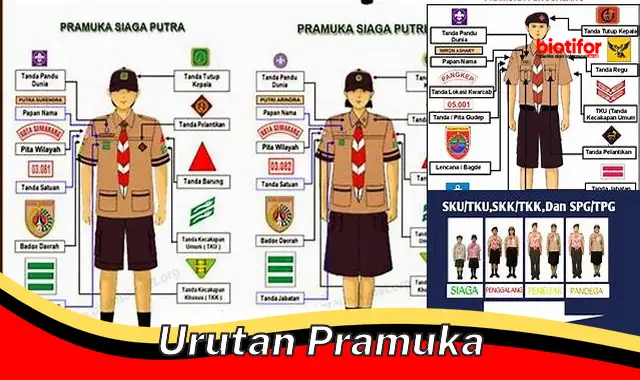 Rahasia Urutan Pramuka untuk Membentuk Karakter Pemimpin Muda