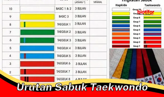 Mengenal Urutan Sabuk Taekwondo: Jalan Menuju Penguasaan Teknik Bela Diri