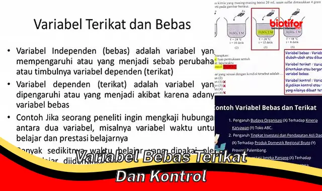 Panduan Lengkap Variabel Bebas, Terikat, dan Kontrol dalam Penelitian