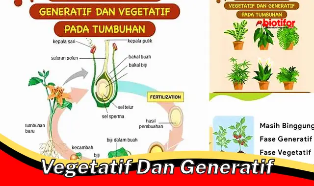 Panduan Lengkap tentang Pertumbuhan Vegetatif dan Generatif pada Tumbuhan